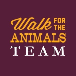 Team Page: Paws for a Cause